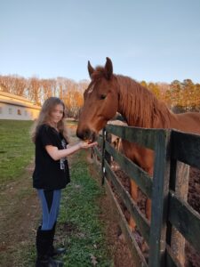 Aurora at the Stables